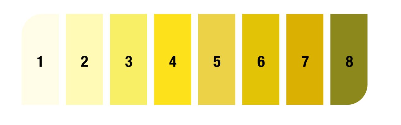 Prof. Lawrence E. Armstrong Scale